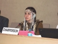Анастасия Чухман: необходимо интегрировать принципы Декларации ООН о правах коренных народов в национальное законодательство 