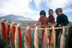 Рыба, дикоросы и морепродукты - основа пищевого рациона населения области