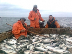 За два месяца путины каждый рыбак-общинник зарабатывает до 200 тысяч рублей