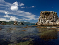 Сахалин омывают Японское и Охотское моря, а реки здесь исчисляются сотнями